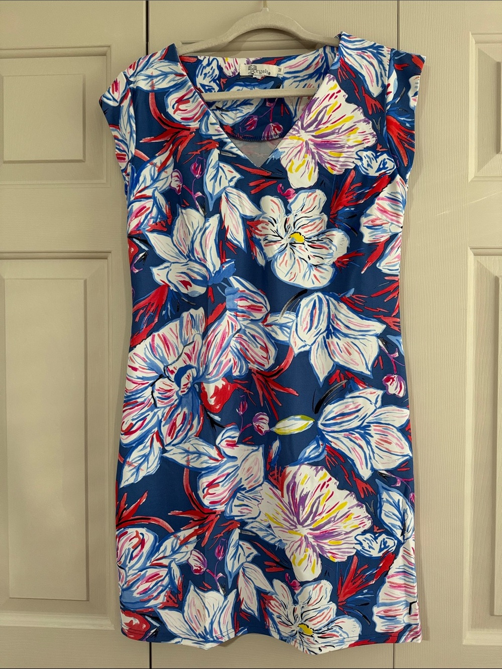 Aryeh Blue Floral V-Neck Midi Dress with Red & White Accents